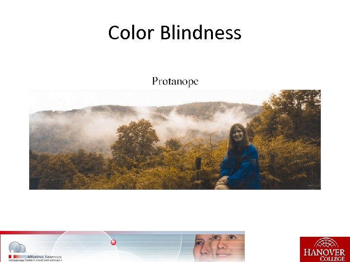 Color Blindness 