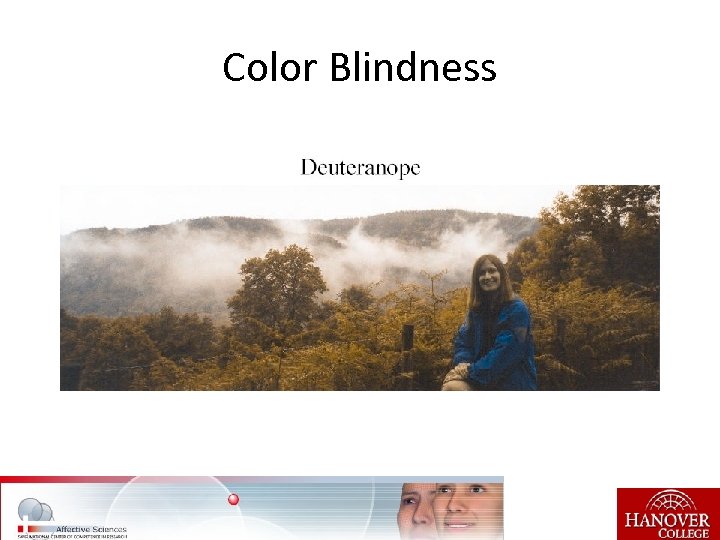 Color Blindness 