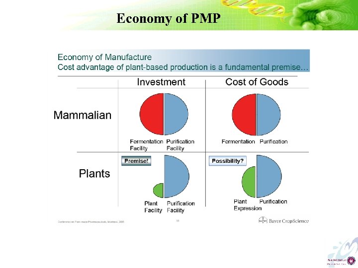 Economy of PMP 