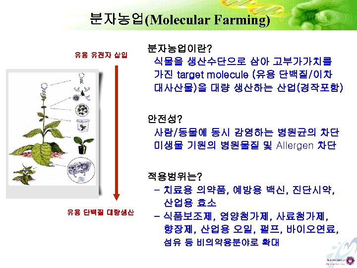 분자농업(Molecular Farming) 유용 유전자 삽입 분자농업이란? 식물을 생산수단으로 삼아 고부가가치를 가진 target molecule (유용