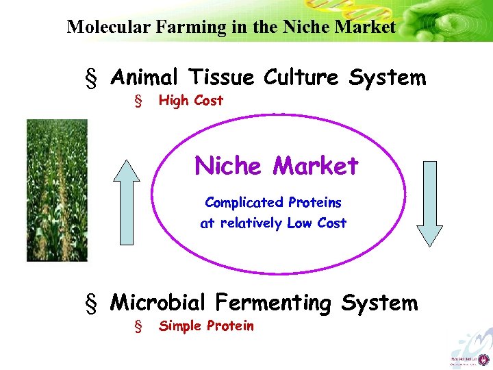 Molecular Farming in the Niche Market § Animal Tissue Culture System § High Cost