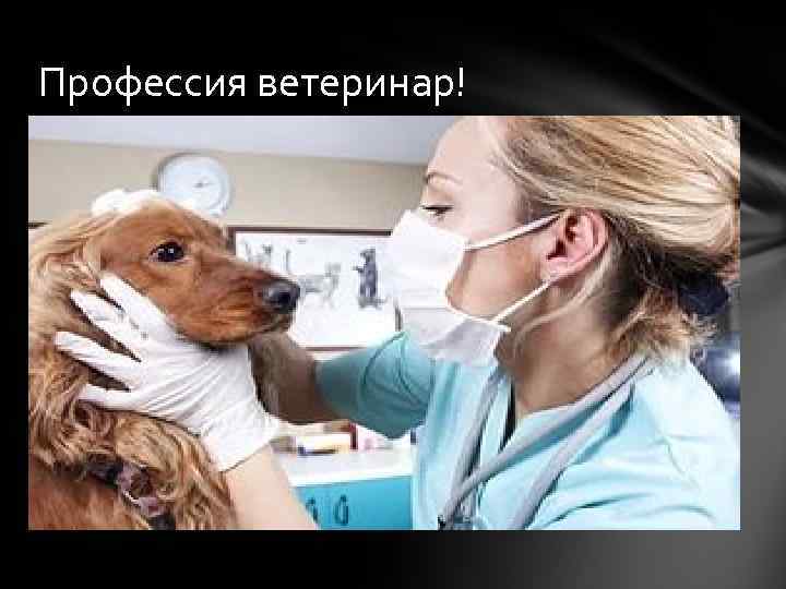 Профессия ветеринар! 