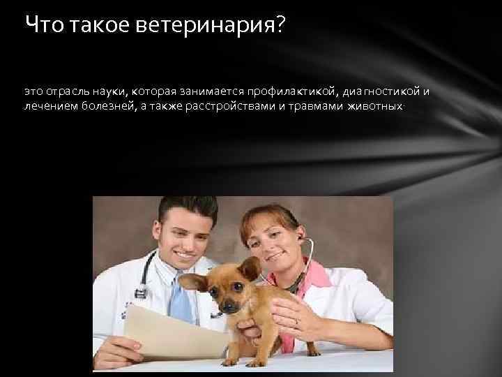 Что такое ветеринария? это отрасль науки, которая занимается профилактикой, диагностикой и лечением болезней, а