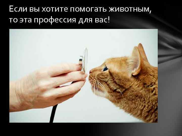 Если вы хотите помогать животным, то эта профессия для вас! 