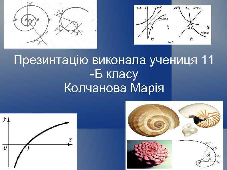 Презинтацію виконала учениця 11 -Б класу Колчанова Марія 