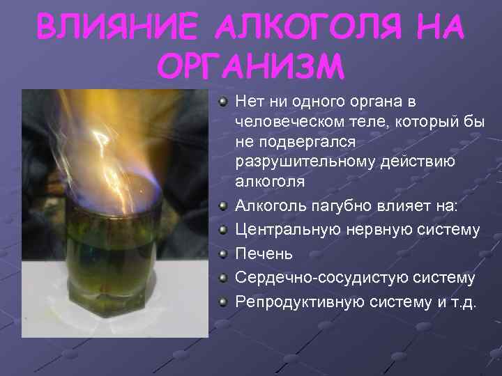 ВЛИЯНИЕ АЛКОГОЛЯ НА ОРГАНИЗМ Нет ни одного органа в человеческом теле, который бы не