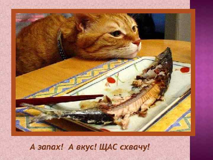 А запах! А вкус! ЩАС схвачу! 