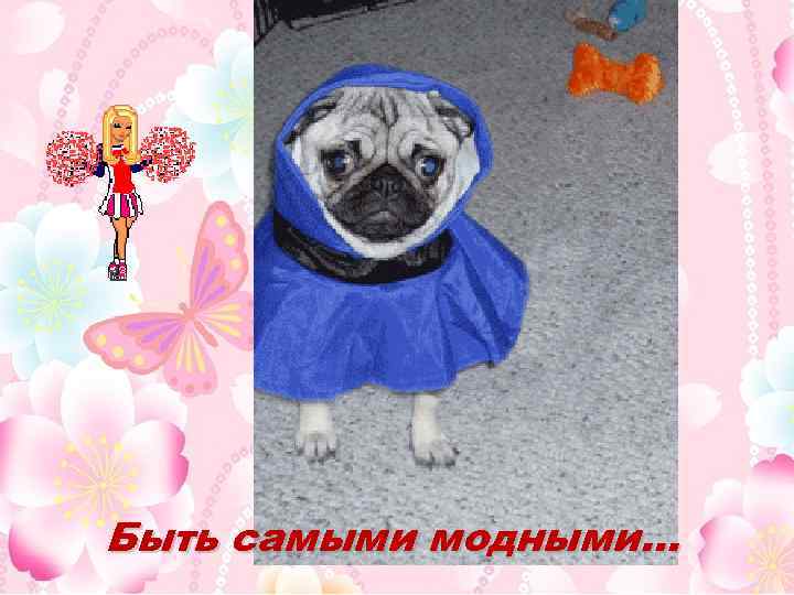 Быть самыми модными… 