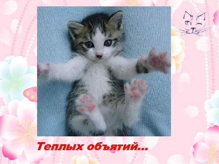 Теплых объятий… 