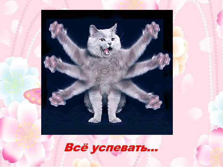 Всё успевать… 