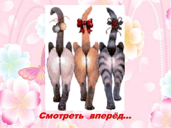 Смотреть вперёд… 