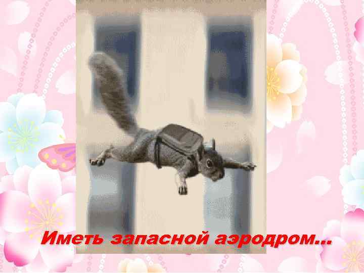 Иметь запасной аэродром… 