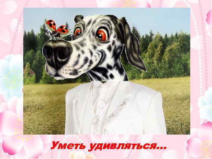 Уметь удивляться… 