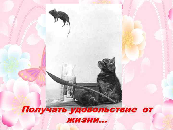 Получать удовольствие от жизни… 