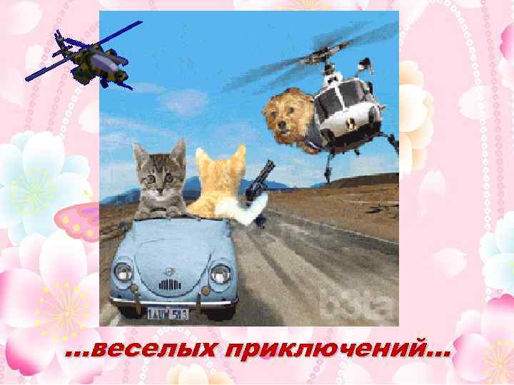 …веселых приключений… 