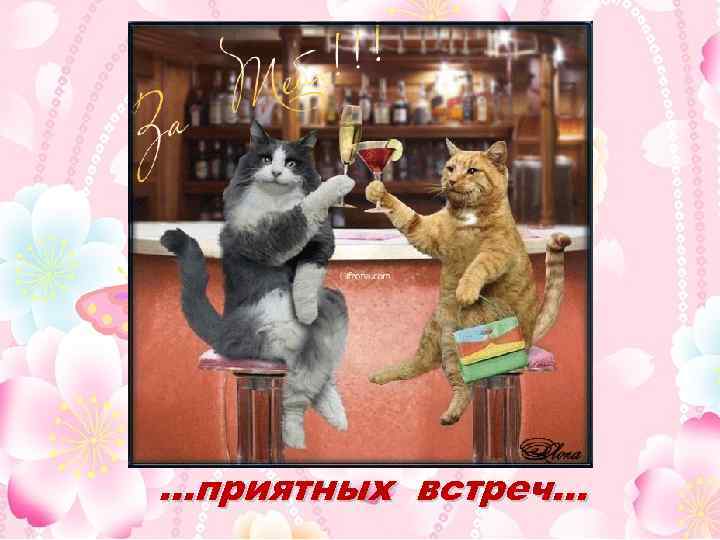 …приятных встреч… 