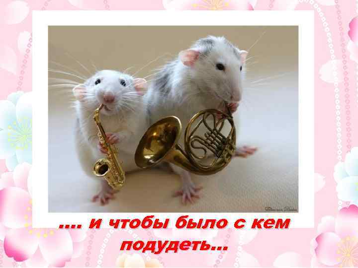 …. и чтобы было с кем подудеть… 