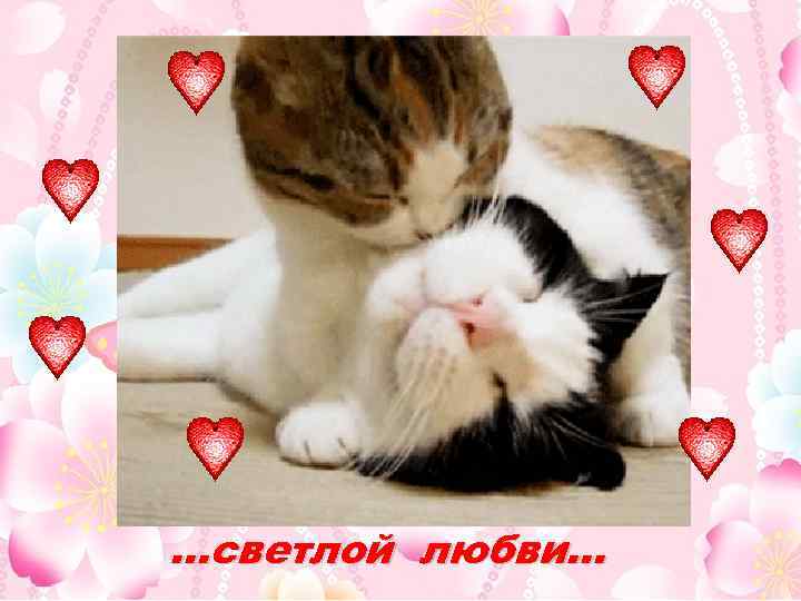 …светлой любви… 