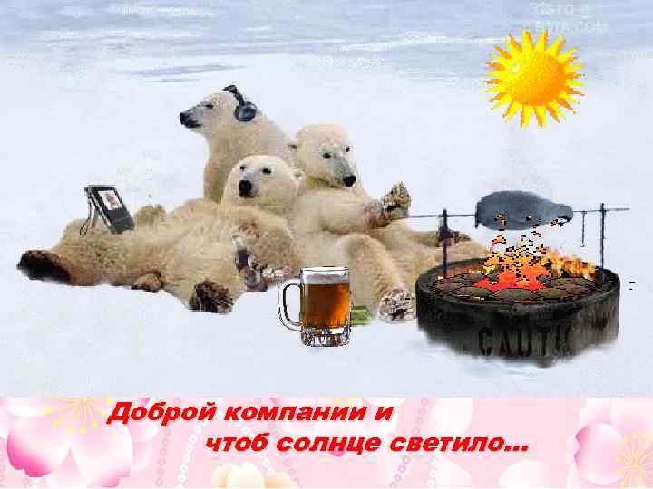 Доброй компании и чтоб солнце светило… 