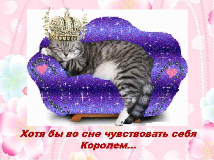 Хотя бы во сне чувствовать себя Королем… 