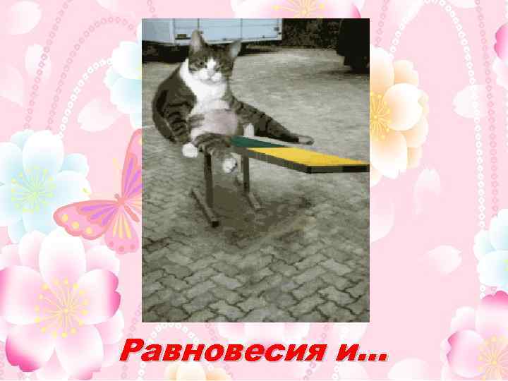 Равновесия и… 