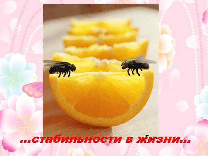 …стабильности в жизни… 