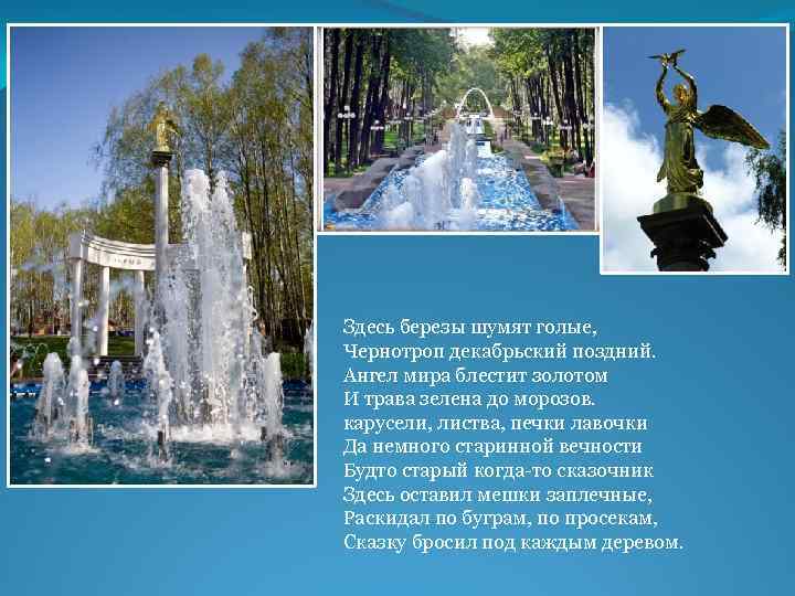 Здесь березы шумят голые, Чернотроп декабрьский поздний. Ангел мира блестит золотом И трава зелена