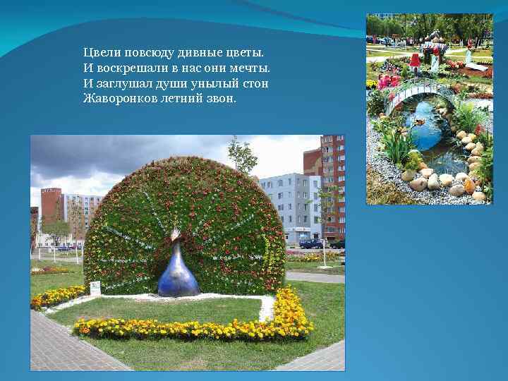 Цвели повсюду дивные цветы. И воскрешали в нас они мечты. И заглушал души унылый