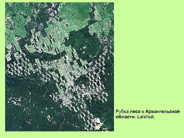 Рубка леса в Архангельской области. Landsat. 