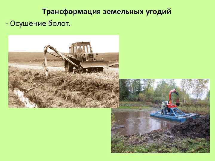 Осушение болот положительные и отрицательные