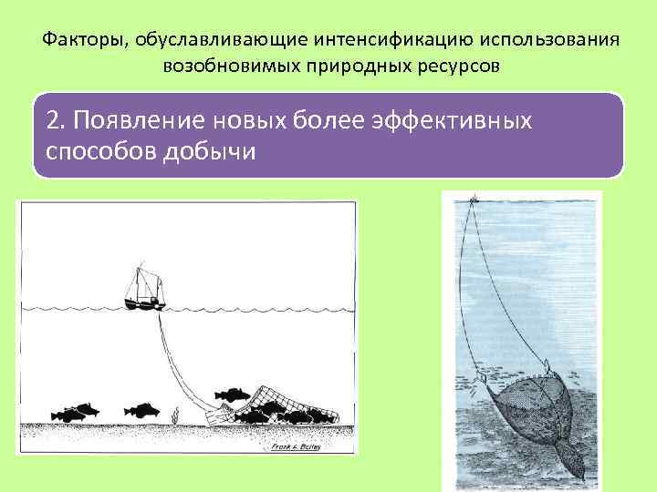 Факторы, обуславливающие интенсификацию использования возобновимых природных ресурсов 2. Появление новых более эффективных способов добычи