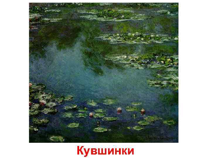 Кувшинки 