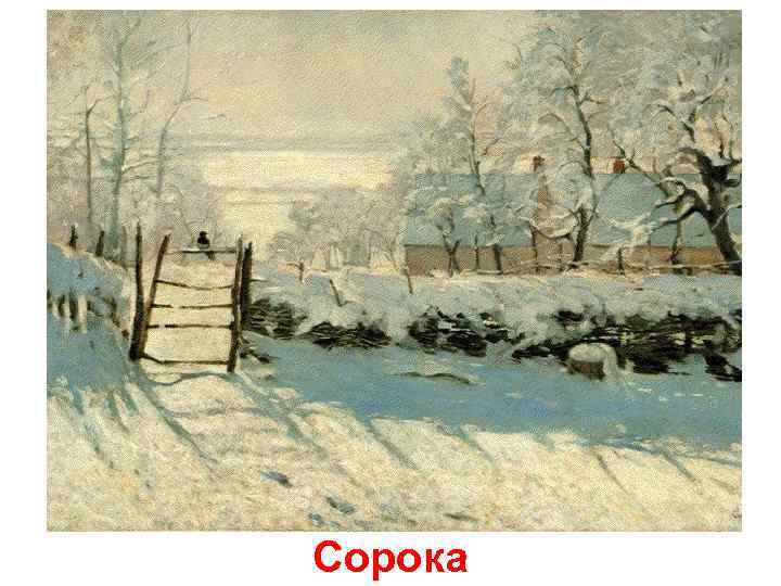 Сорока 