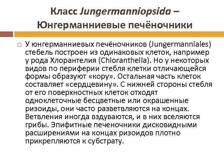 Класс Jungermanniopsida – Юнгерманниевые печёночники У юнгерманниевых печёночников (Jungermanniales) стебель построен из одинаковых клеток,