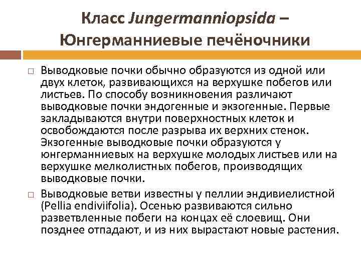 Класс Jungermanniopsida – Юнгерманниевые печёночники Выводковые почки обычно образуются из одной или двух клеток,