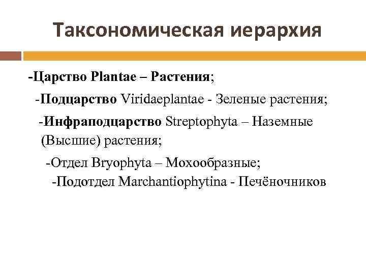 Таксономическая иерархия -Царство Plantae – Растения; -Подцарство Viridaeplantae - Зеленые растения; -Инфраподцарство Streptophyta –