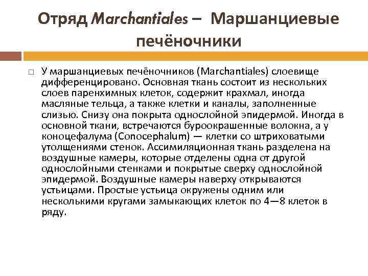 Отряд Marchantiales – Маршанциевые печёночники У маршанциевых печёночников (Marchantiales) слоевище дифференцировано. Основная ткань состоит