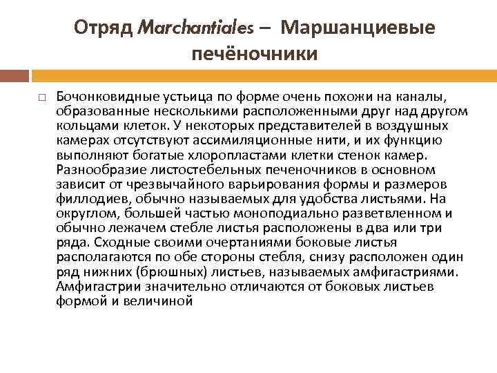 Отряд Marchantiales – Маршанциевые печёночники Бочонковидные устьица по форме очень похожи на каналы, образованные