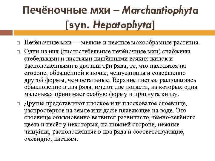 Печёночные мхи – Marchantiophyta [syn. Hepatophyta] Печёночные мхи — мелкие и нежные мохообразные растения.