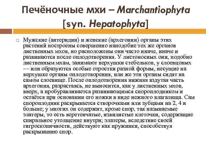 Печёночные мхи – Marchantiophyta [syn. Hepatophyta] Мужские (антеридии) и женские (архегонии) органы этих растений