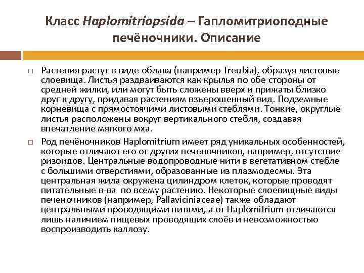 Класс Haplomitriopsida – Гапломитриоподные печёночники. Описание Растения растут в виде облака (например Treubia), образуя