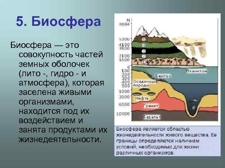 Калуга биосфера карта