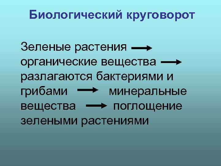 Биологический круговорот Зеленые растения органические вещества разлагаются бактериями и грибами минеральные вещества поглощение зелеными