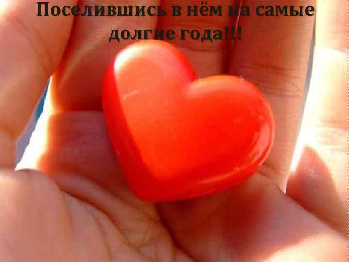 Поселившись в нём на самые долгие года!!! 