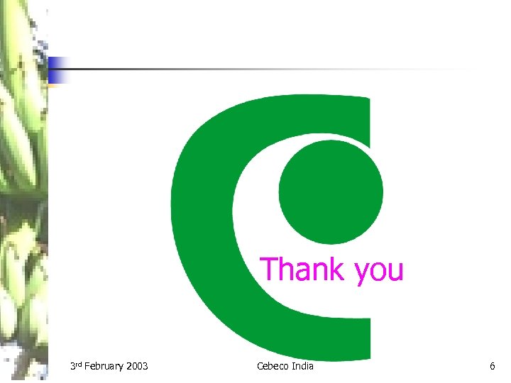 Thank you 3 rd February 2003 Cebeco India 6 