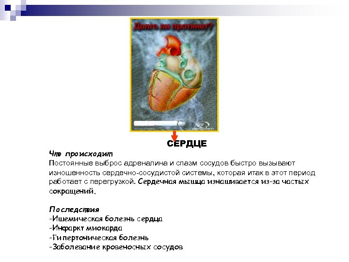 СЕРДЦЕ Что происходит Постоянные выброс адреналина и спазм сосудов быстро вызывают изношенность сердечно-сосудистой системы,