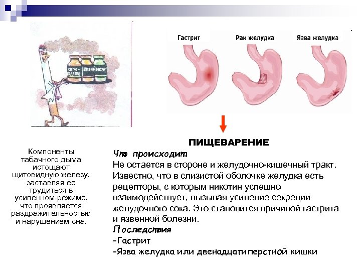 Компоненты табачного дыма истощают щитовидную железу, заставляя ее трудиться в усиленном режиме, что проявляется
