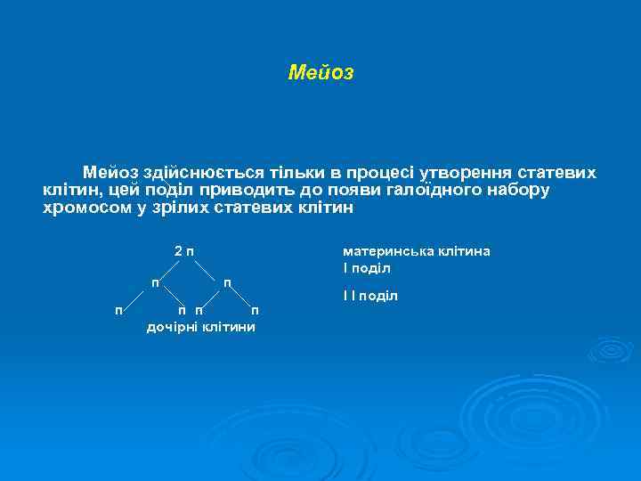 Мейоз здійснюється тільки в процесі утворення статевих клітин, цей поділ приводить до появи галоїдного