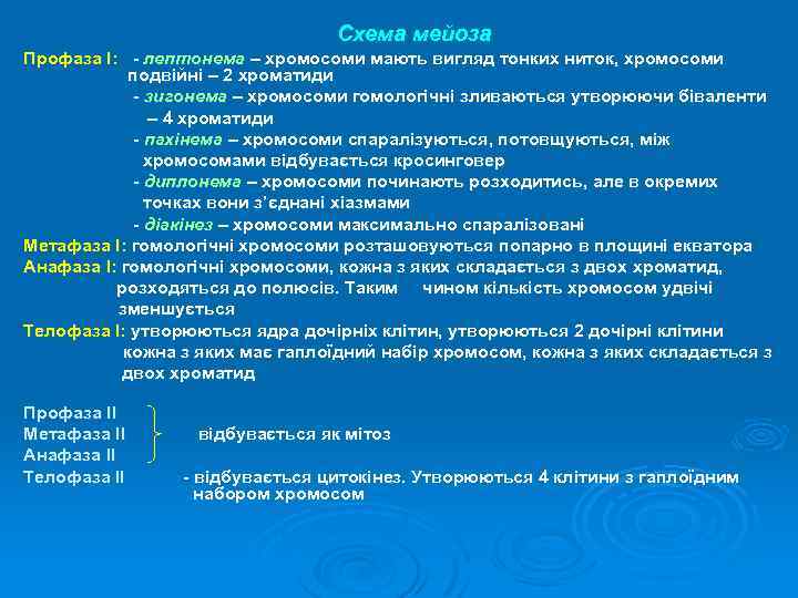 Схема мейоза Профаза І: - лептонема – хромосоми мають вигляд тонких ниток, хромосоми подвійні