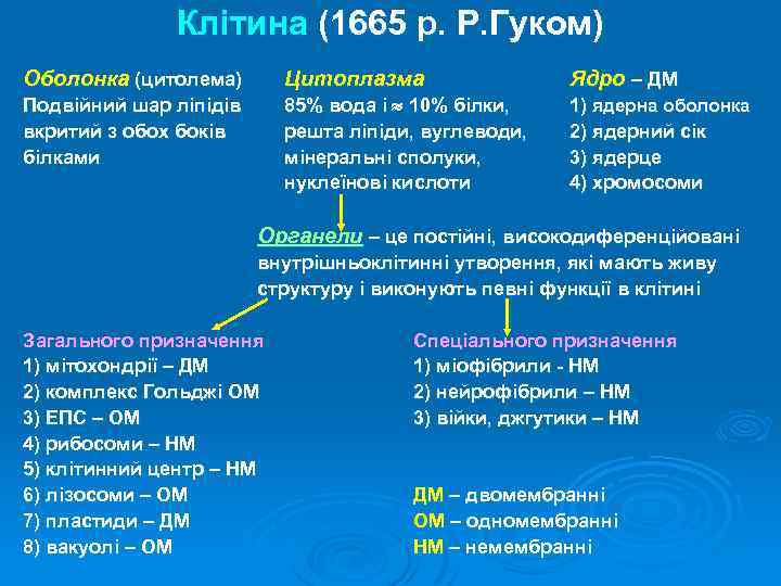 Клітина (1665 р. Р. Гуком) Оболонка (цитолема) Цитоплазма Ядро – ДМ Подвійний шар ліпідів